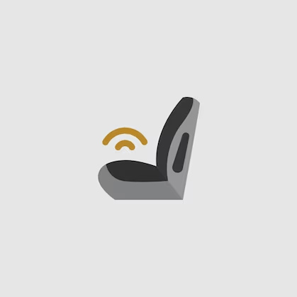 Rear Seat Reminder