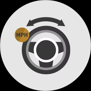 STANDARD VARIABLE-EFFORT  ELECTRIC POWER STEERING
