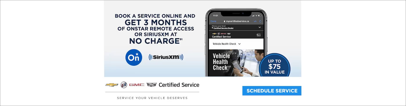 book-3-month-service