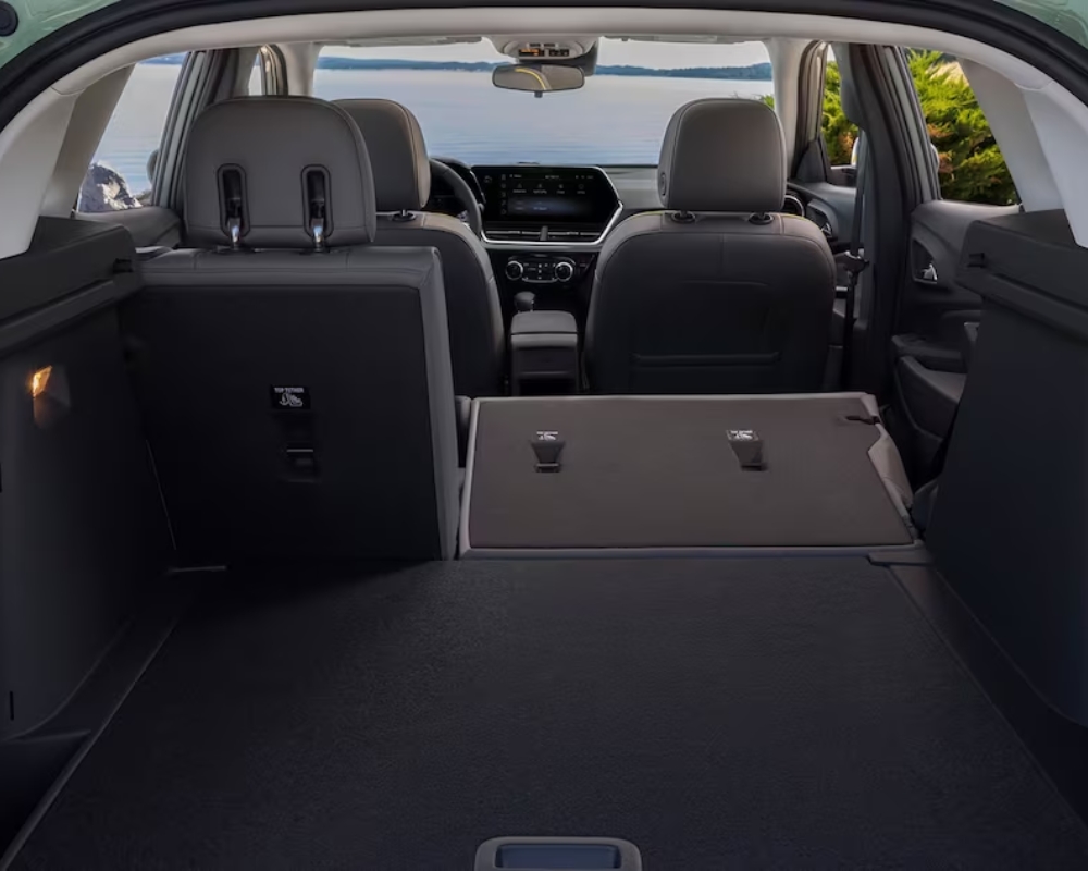 Interior Layout and Options