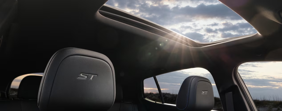 A Sanctuary of Sophistication