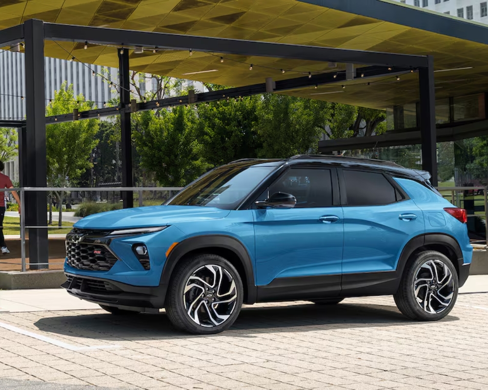 Bold and Adventurous